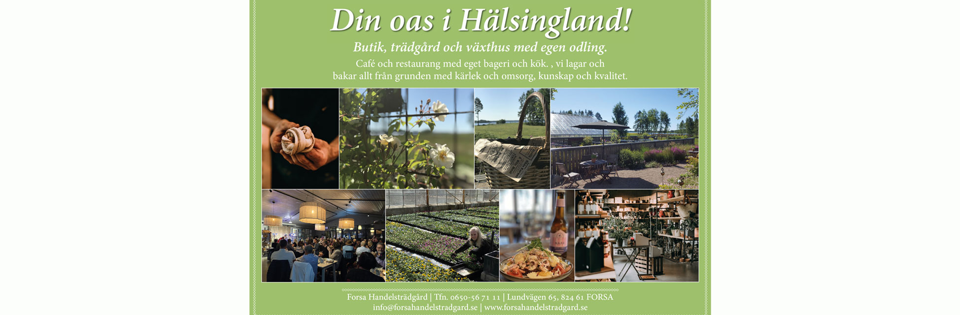 forsa_handelstradgard